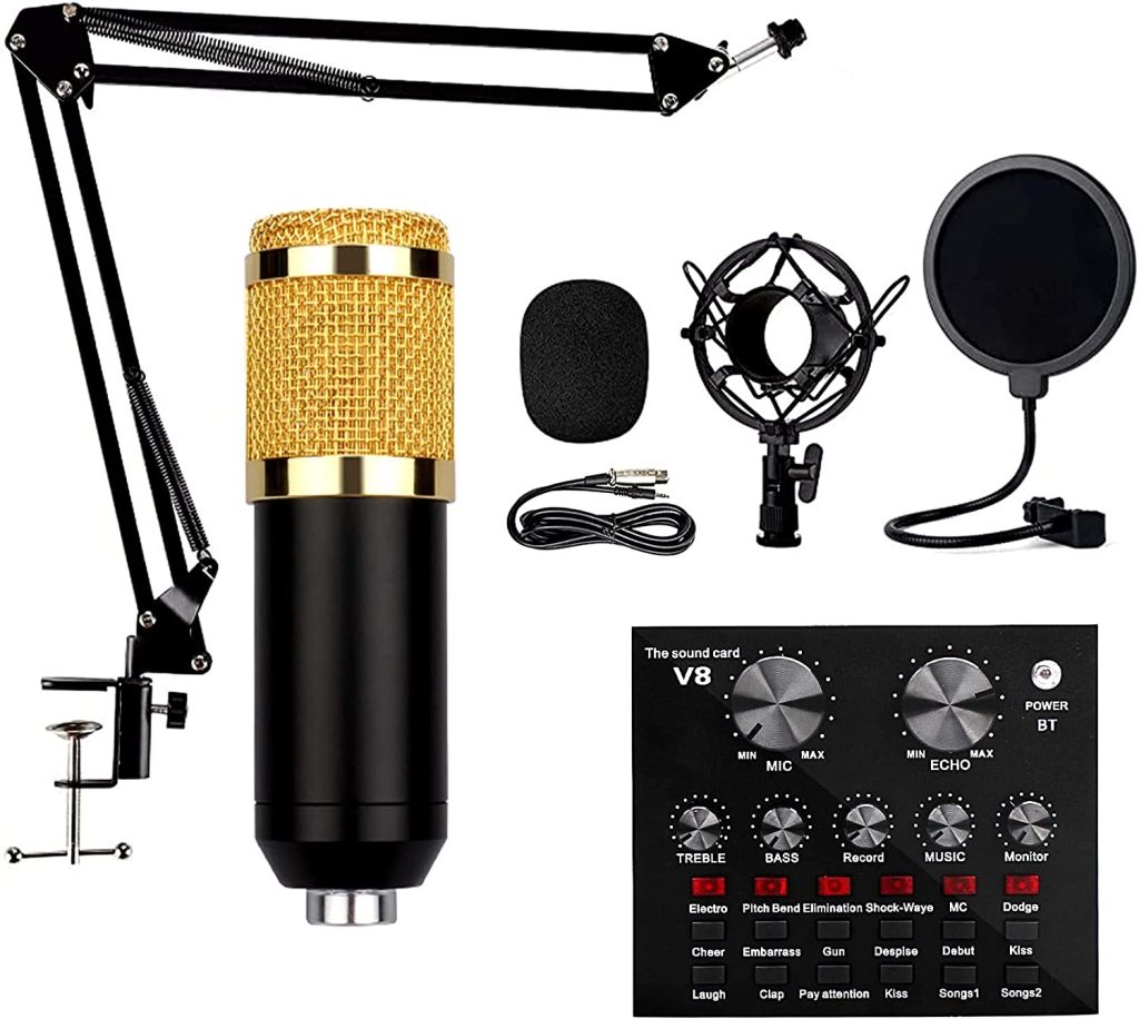 Microphones à condensateur BM-800, microphone de studio