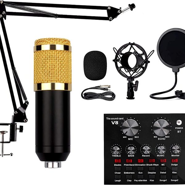 Microphones à condensateur BM-800, microphone de studio