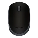 SOURIS SANS FIL M171