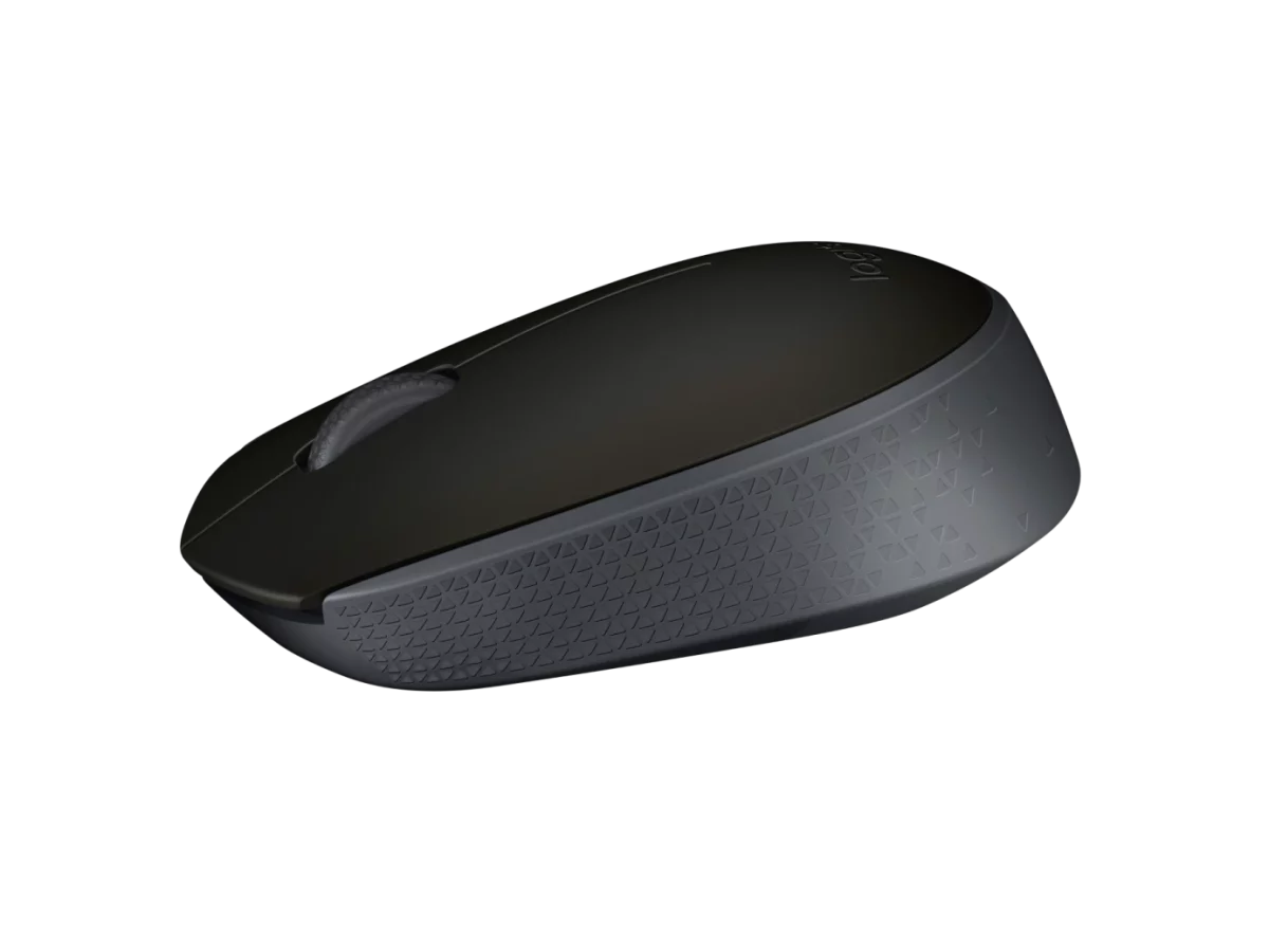 SOURIS SANS FIL M171