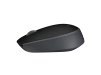 SOURIS SANS FIL M171