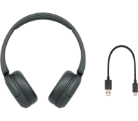 Casque sans fil Sony WH-CH520