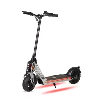 Bison 800W Trottinette électrique