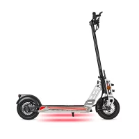 Bison 800W Trottinette électrique