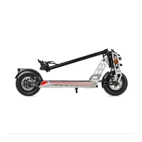 Bison 800W Trottinette électrique