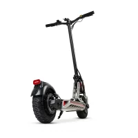 Bison 800W Trottinette électrique