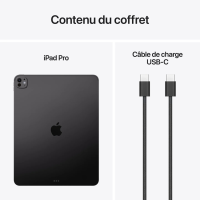 ipad-pro-13-pouces-m5-256go-wi-fi-noir-sideral-au-meilleur-prix-3